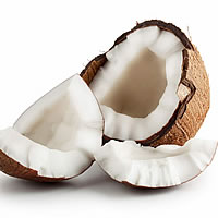 Coconut