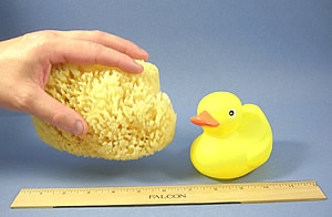Yellow Sea Sponge medium - 5"-6" A+ Bath Quality