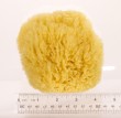 Caribbean Grass Exfoliating Bath Sponge small - 4"- 5" - A+ Bath Quality