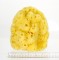 Yellow Sea Sponge large - 6"-7" - A+ Bath Quality