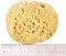 'Rock Island' Wool Sea Sponge 6.5" - 7" Large Bath Size