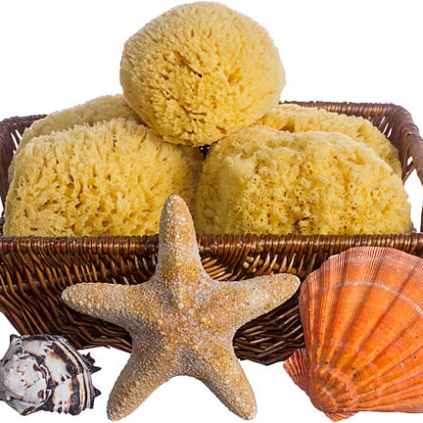 Basket-Full-of-Yellow-Sponges_small