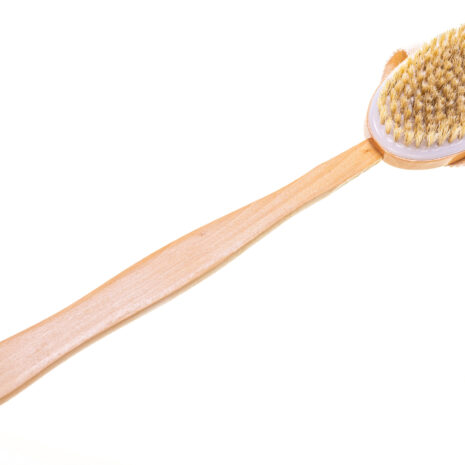 Handled Bath Brush for Shower