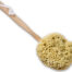 natural wool sea sponge bath brush back view