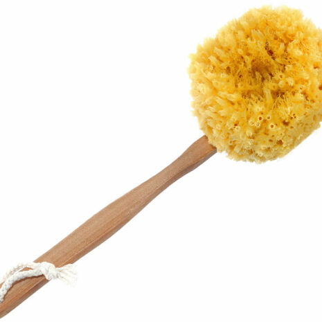 Caribbean Grass Sea Sponge Back and Bath Brush