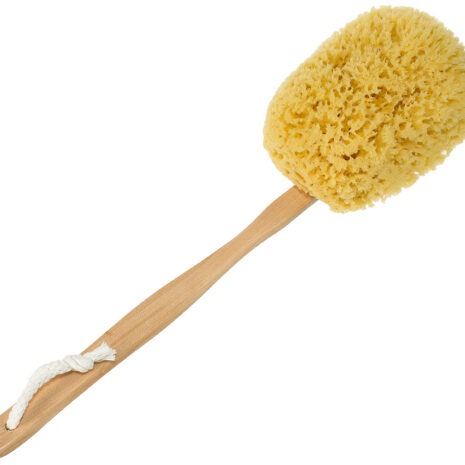 sea-sponge-back-brush-natural-yellow-2-small sea-sponge-back-brush-natural-yellow-2-small