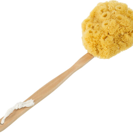 sea-sponge-back-brush-natural-yellow-5-small Yellow Sea Sponge Bath Brush measurements