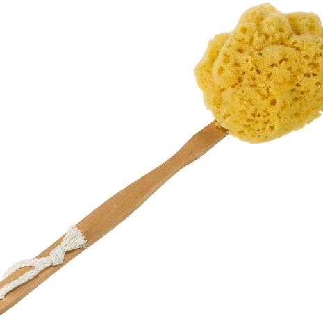 sea-sponge-back-brush-natural-yellow-primary-small Yellow Sea Sponge Bath Brush alternate